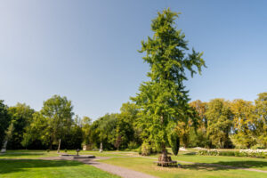 Das-Bergische-Schloss-Auel2020-508-22-1024x683-1
