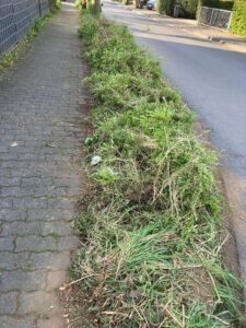 1. Beet in Krebsaueler Str_vorher